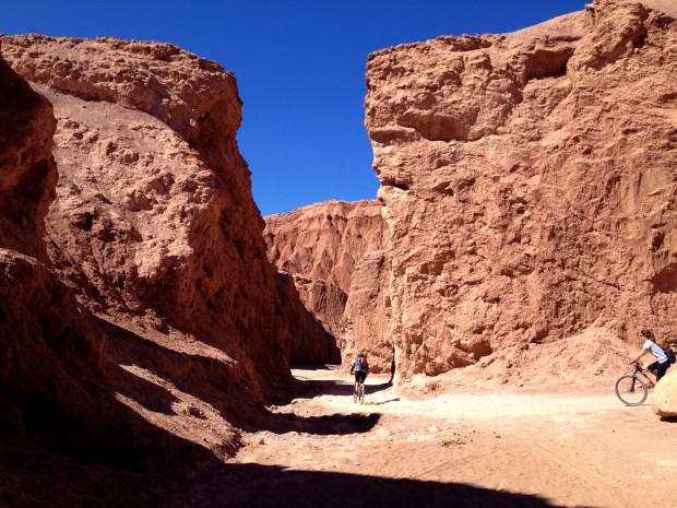 Biking in Valle de la Muerte