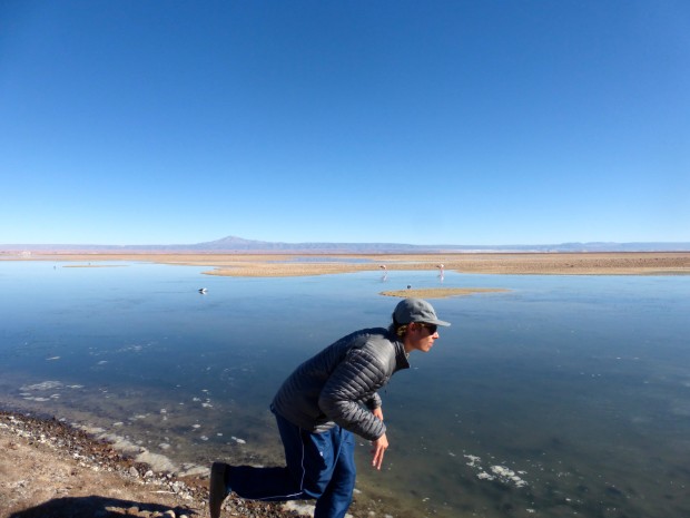 Matt assimilating with the Flamingos 