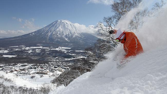 Niseko Credit: Snows Best