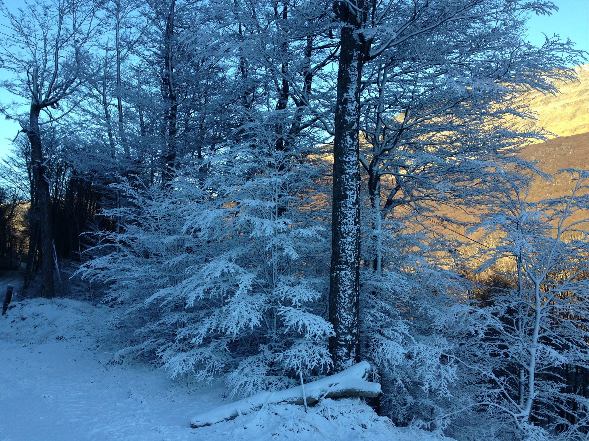 Artificial Snow in Cerro Castor