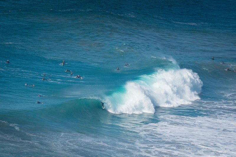 surfing san diego