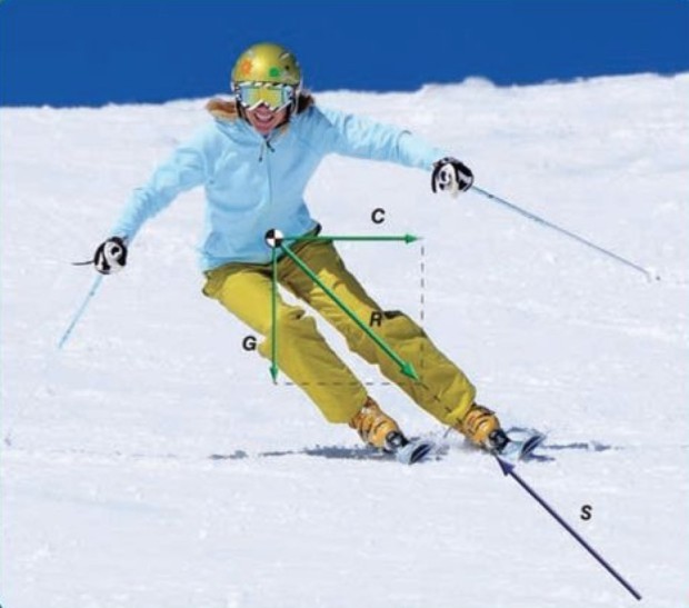 skier