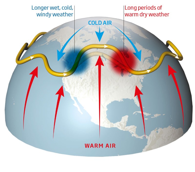 The Arctic Effect: Credit: New Scientist