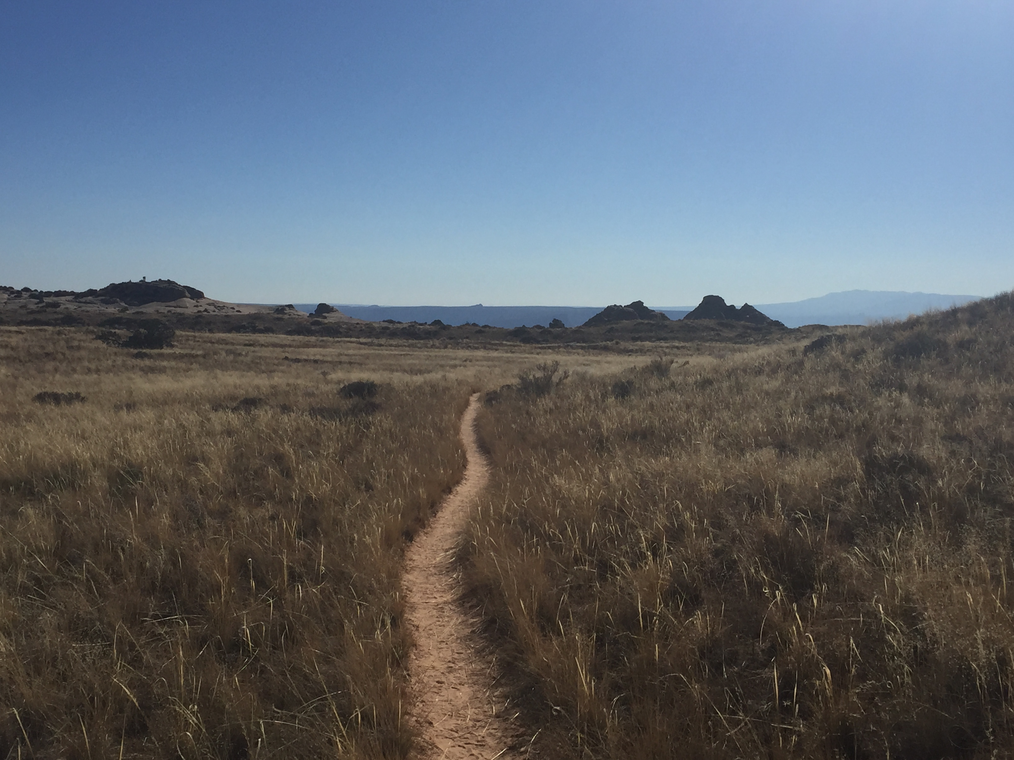 Lathrop Trail single track. Photo: Sergei Poljak