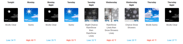 Mammoth's forecast