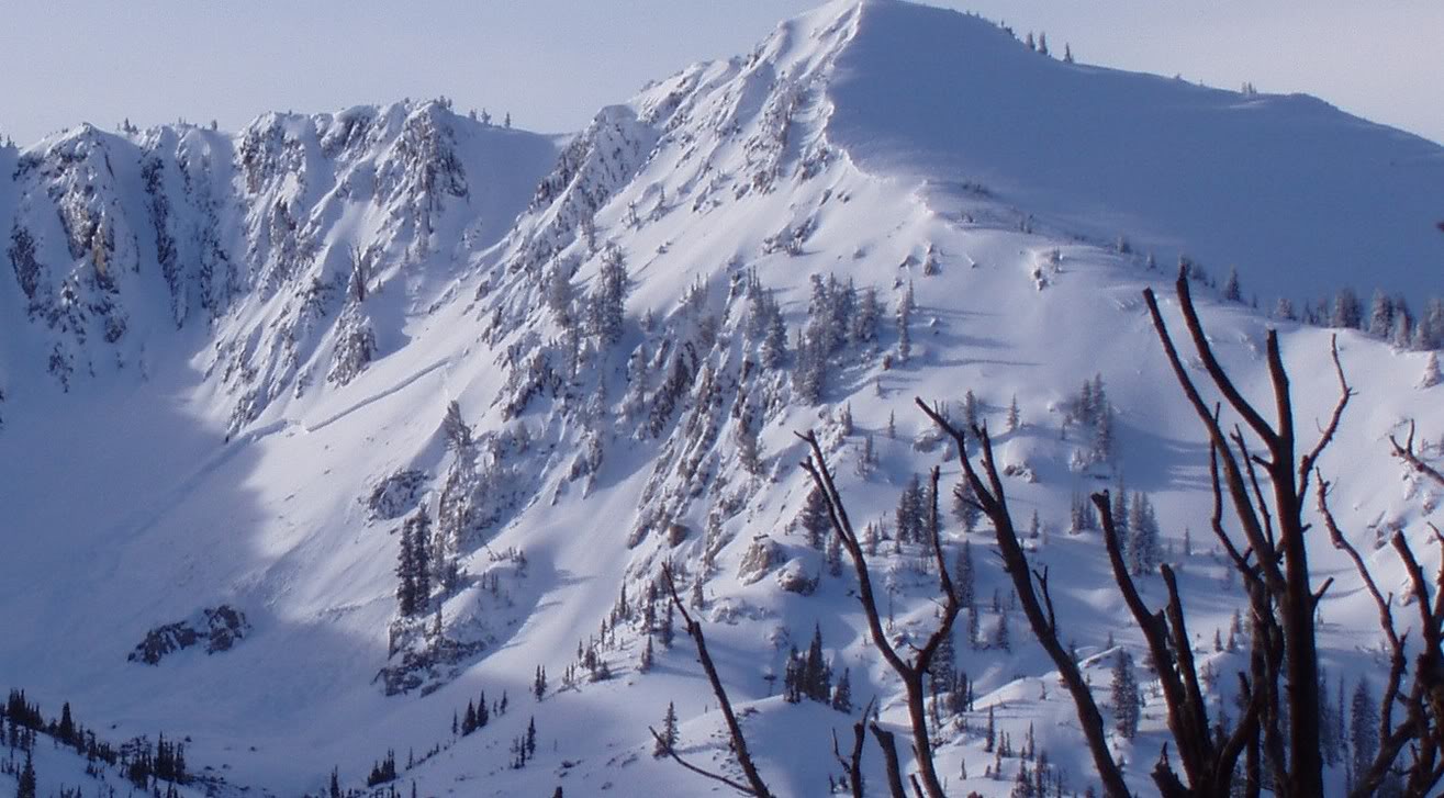 Alta's Wolverine Cirque - Credit: Teton Gravity Research