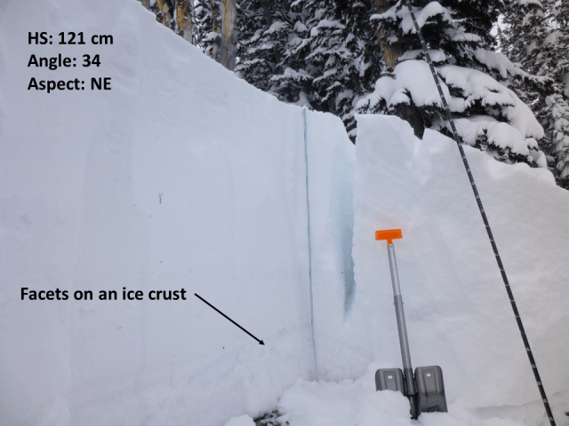 The avalanche broke on a layer of well-developed facets that are sitting on an ice crust. The crack in the snowpit wall is a remnant slab that cracked, but did not slide down the hill in the avalanche. Photo: GNFAC 