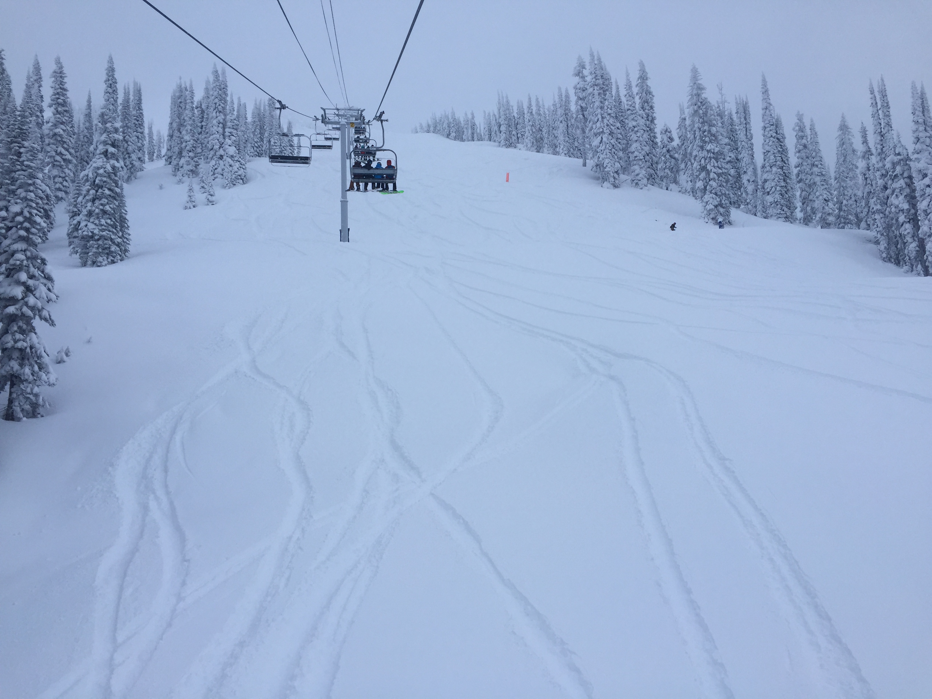 stoke chair revelstoke