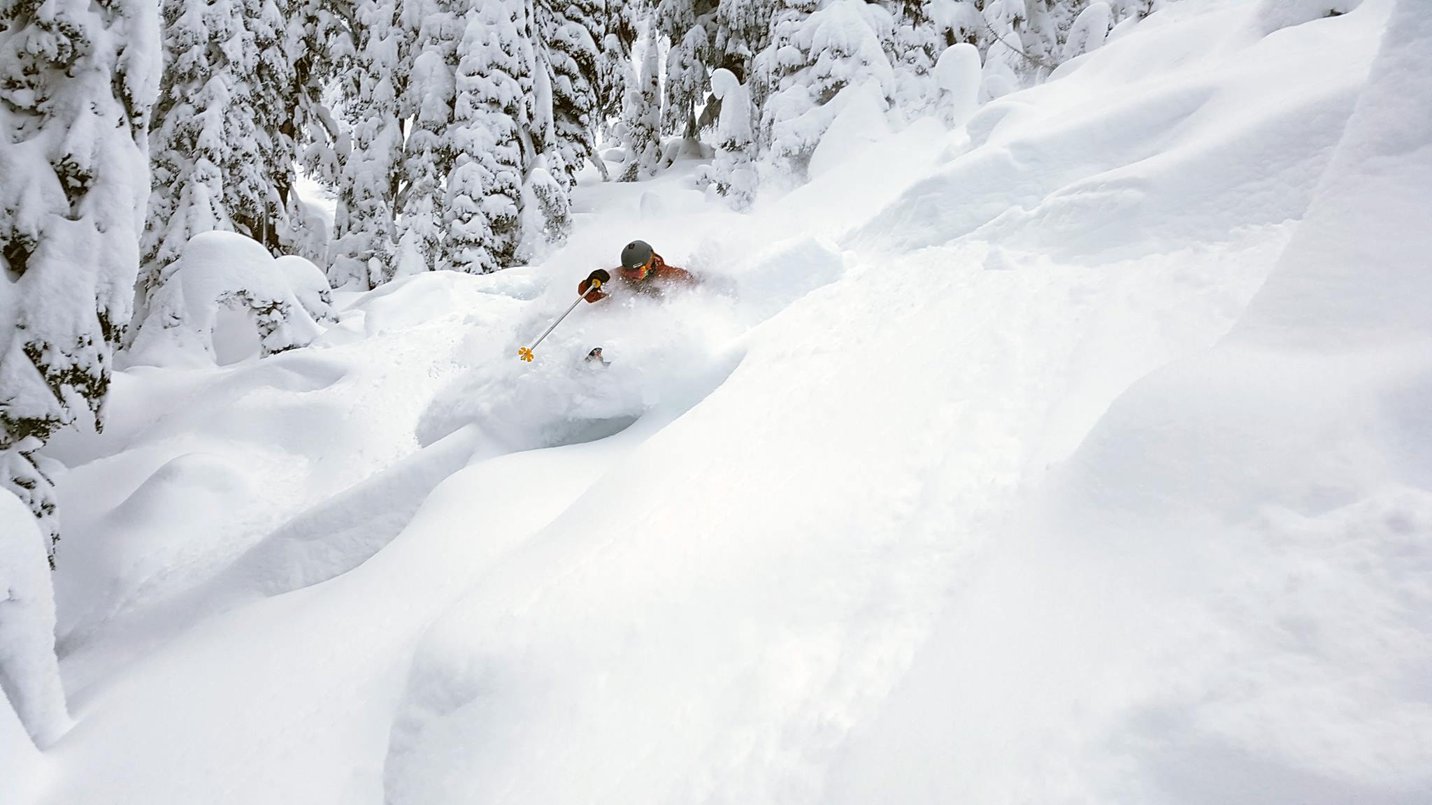 Fresh snow at Whitewater in early December. PC: Drew Cushway