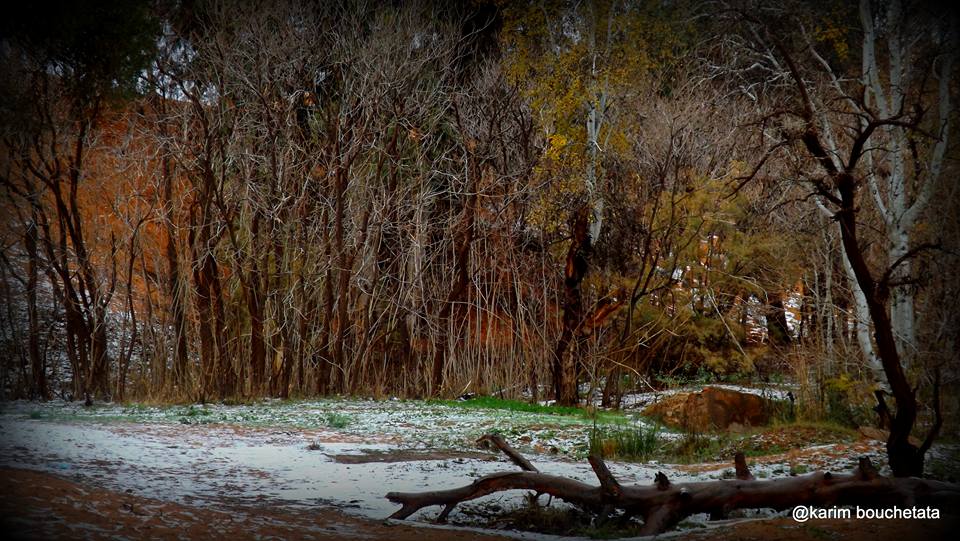 First Sahara Desert Snow In 37 Years // photo: Karim Bouchetata