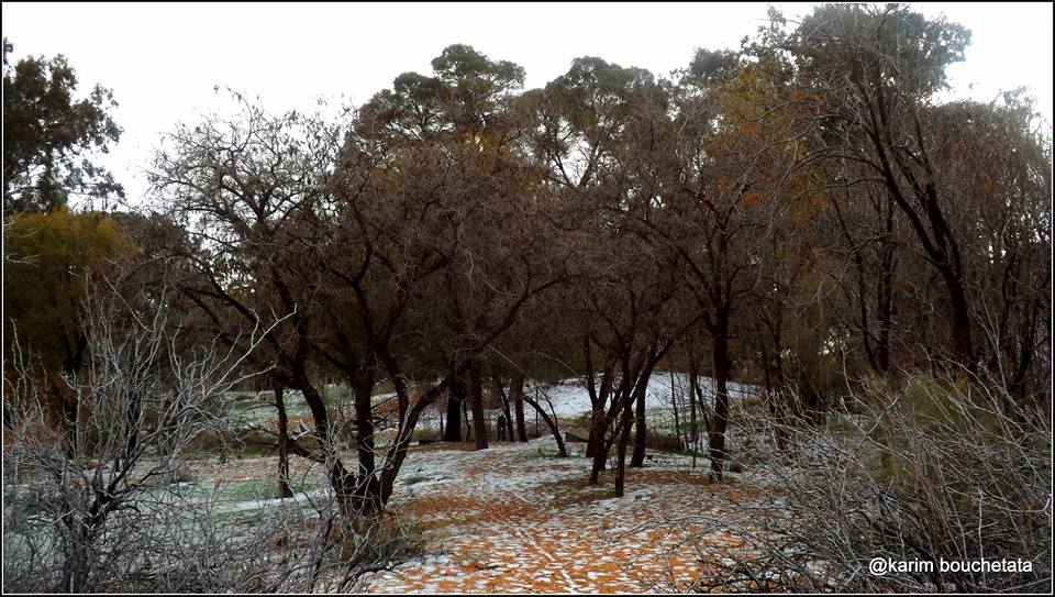 First Sahara Desert Snow In 37 Years // photo: Karim Bouchetata