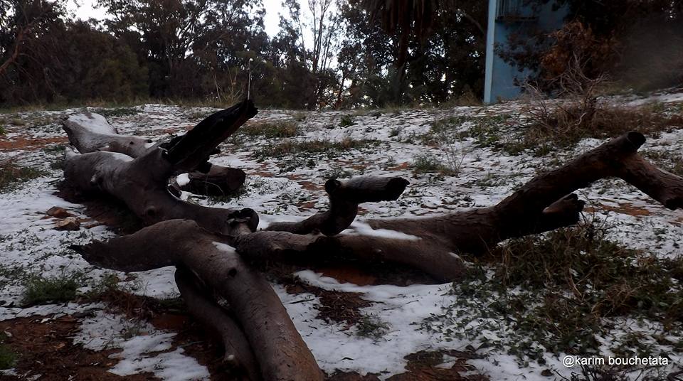 First Sahara Desert Snow In 37 Years // photo: Karim Bouchetata