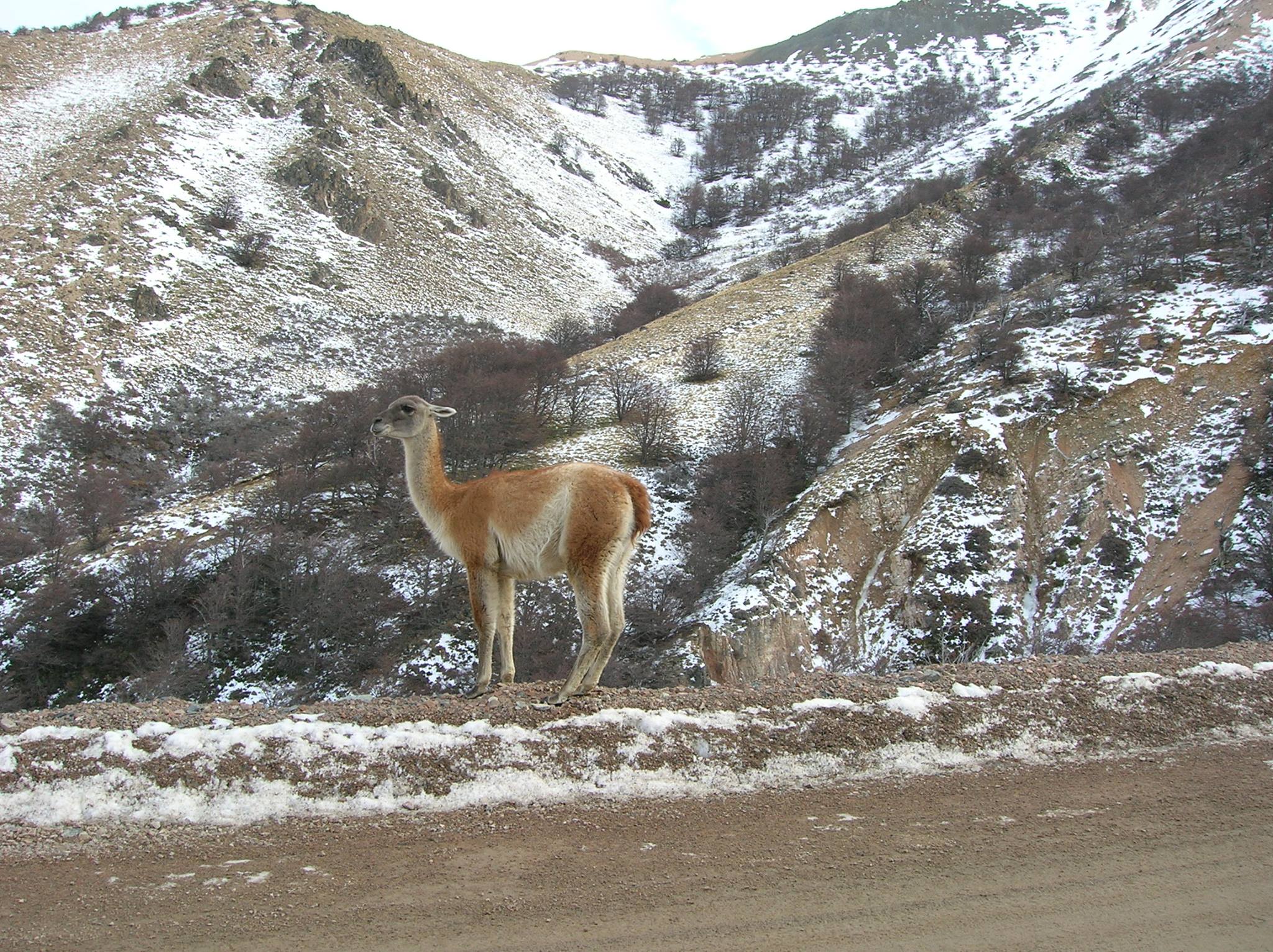 La Hoya, Chubut // photo: facebook