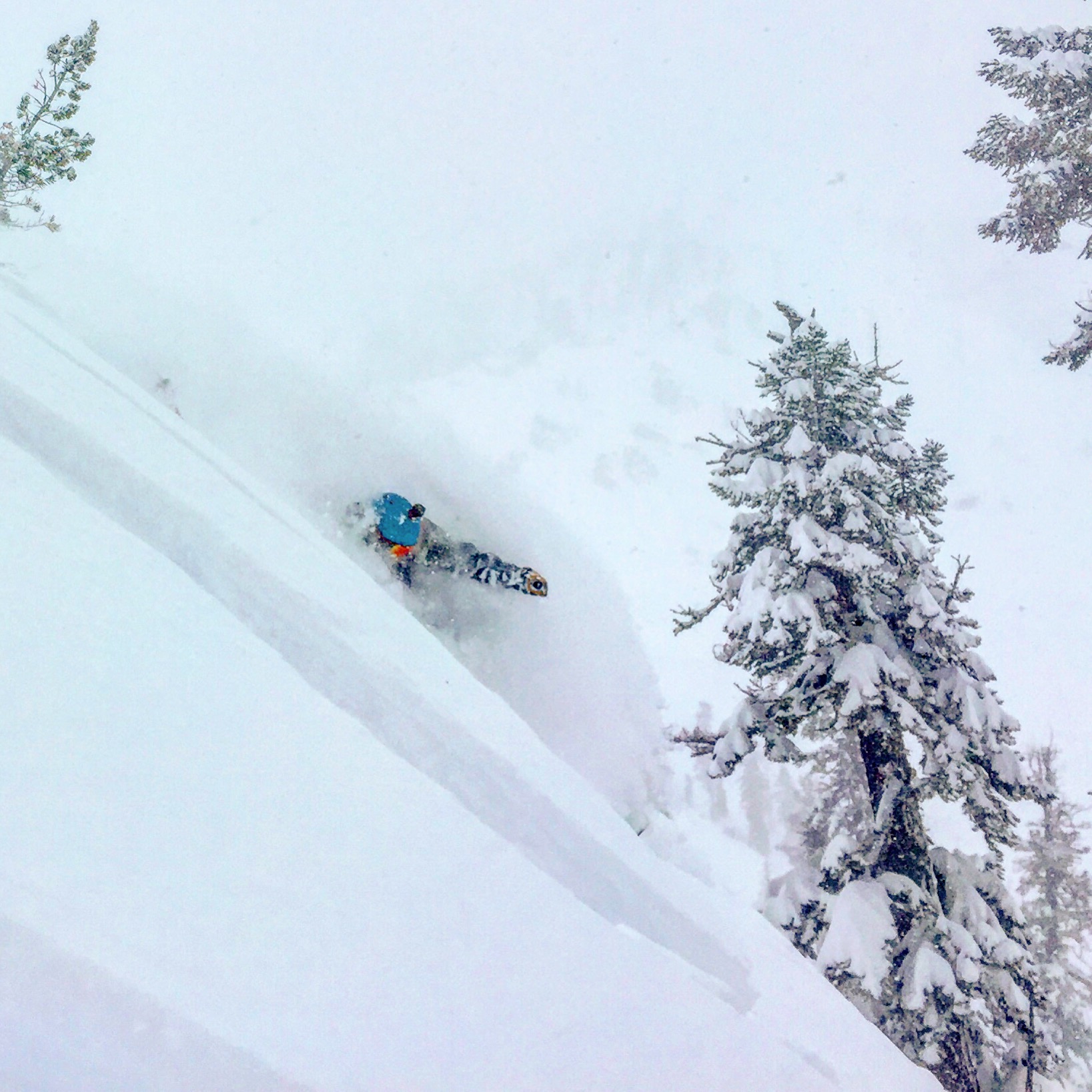 Dan getting pitted. Photo: Bevan Waite