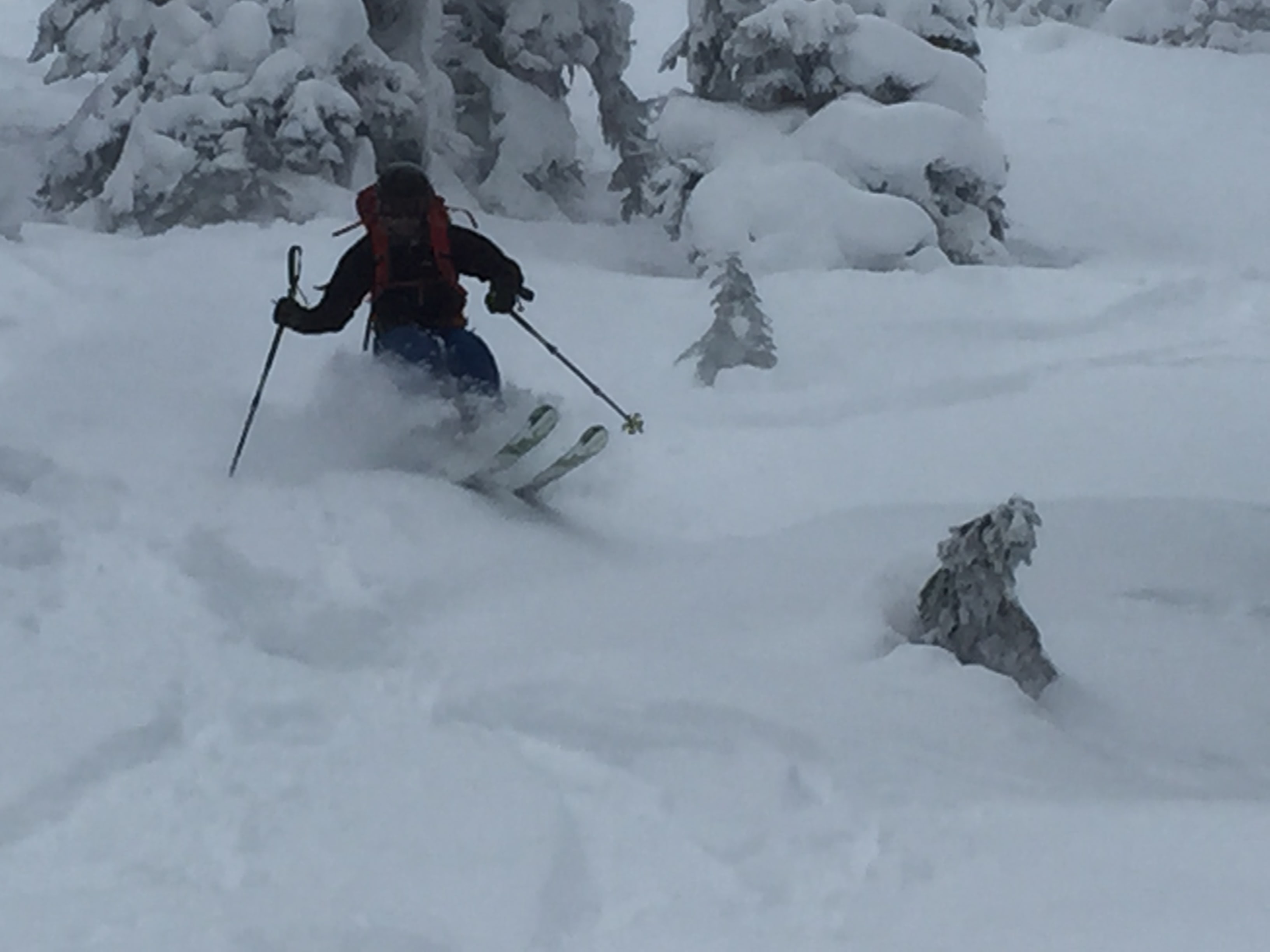 Skier: Michal Nemecek Photo: Sergei Poljak Dec. 30, 2016