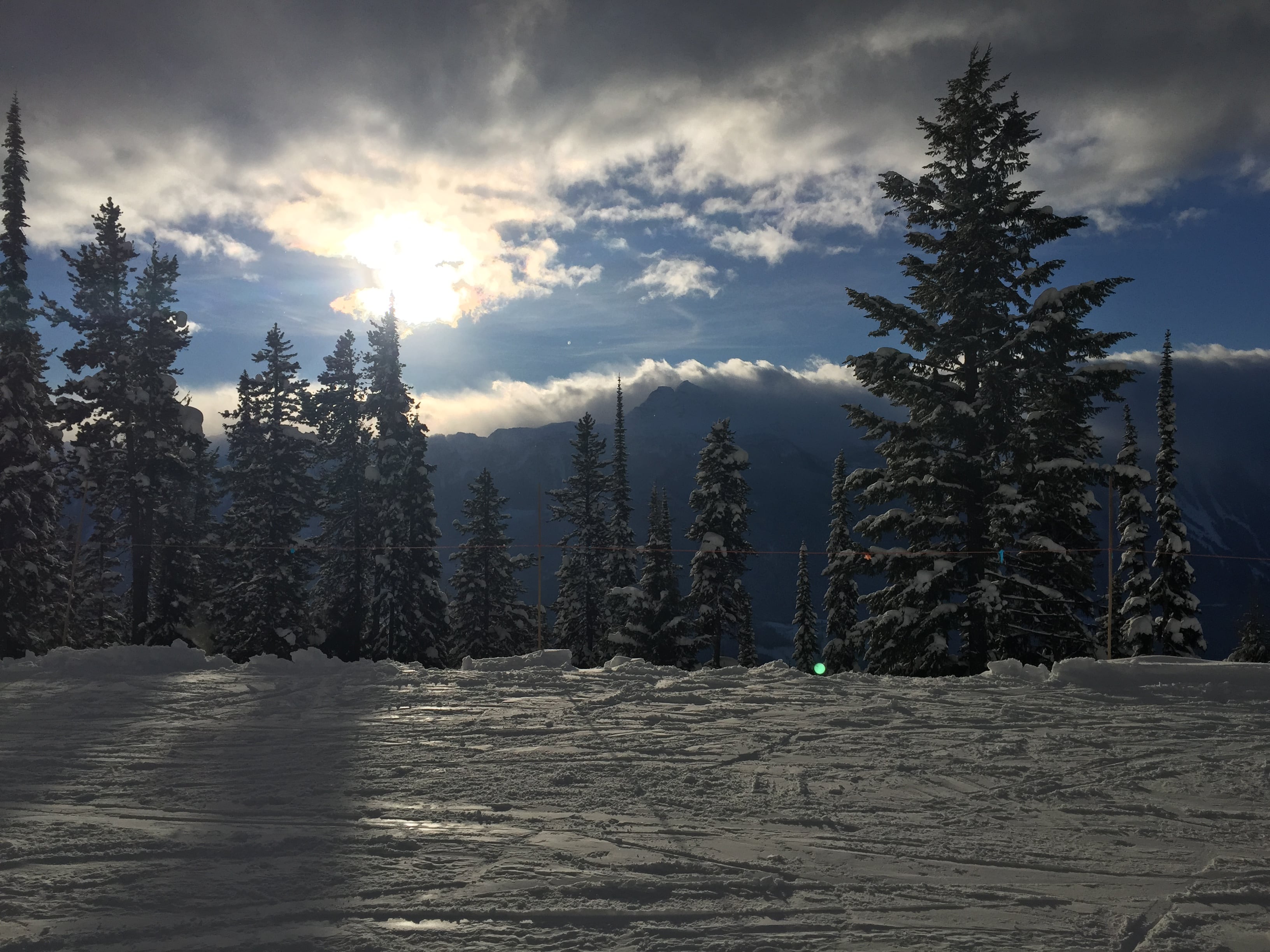 The sun came out for a few minutes! Photo: Sergei Poljak Dec. 30, 2016