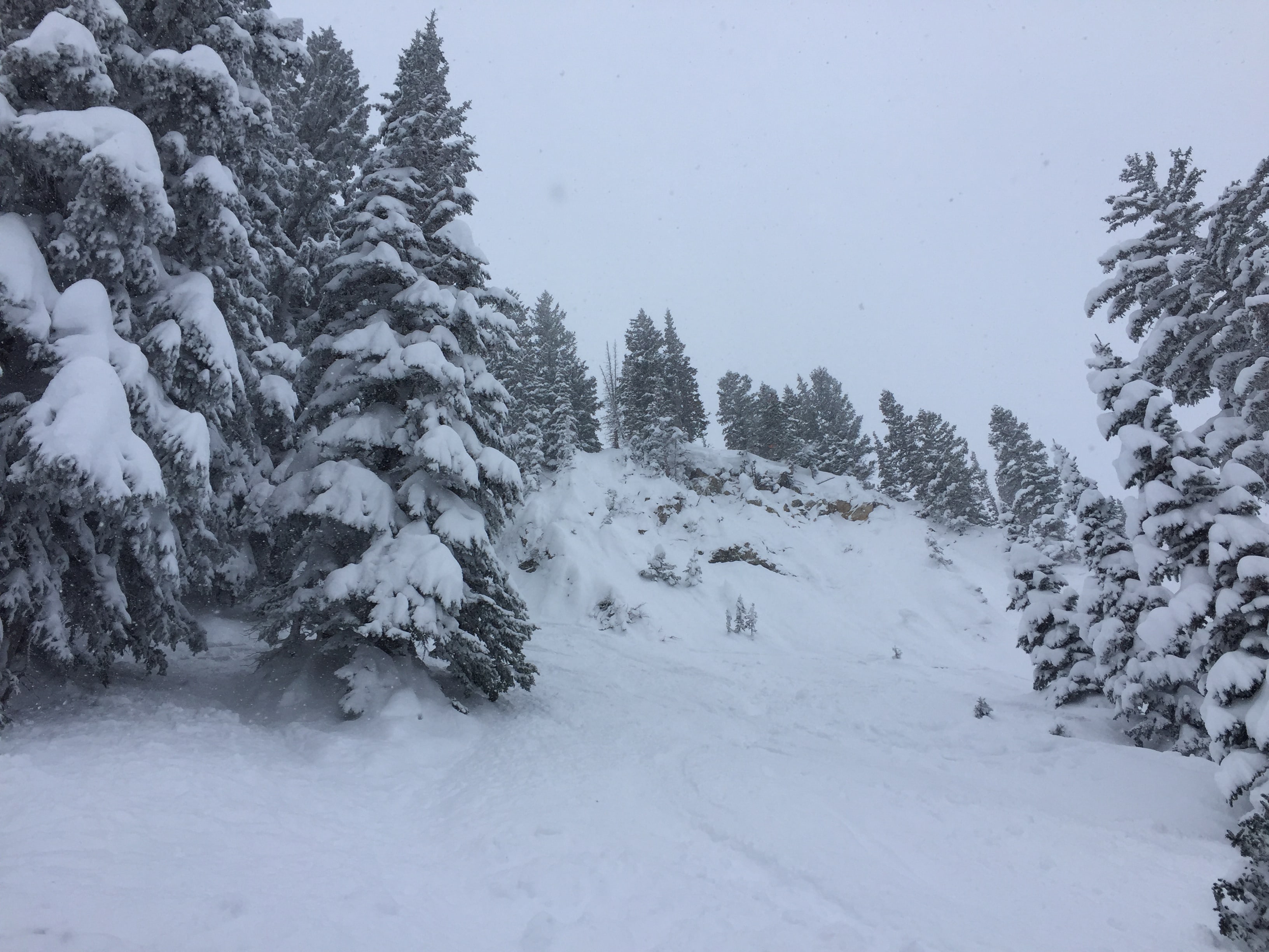 Alta Ski Area January 2017