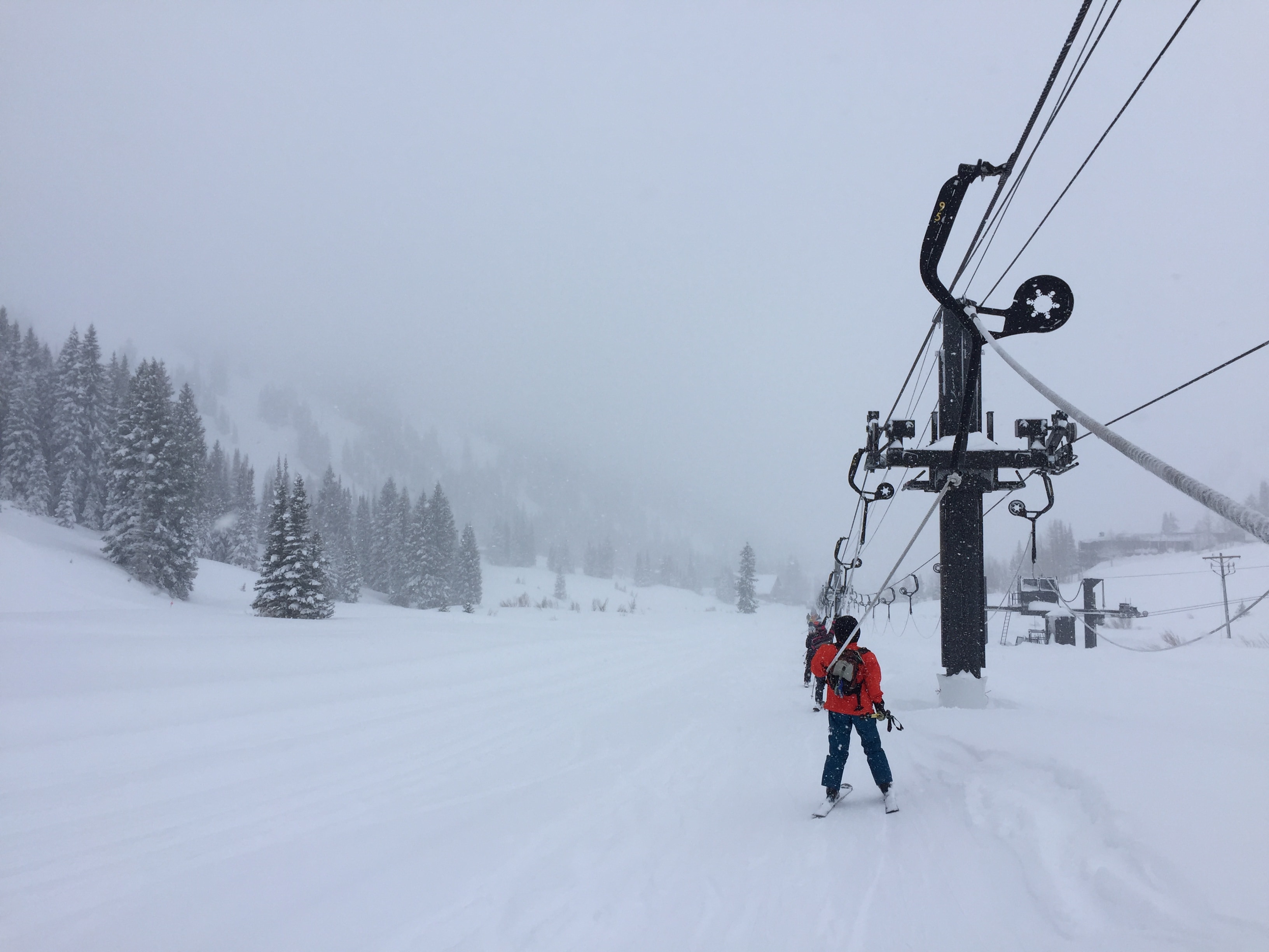 Alta Ski Area January 2017