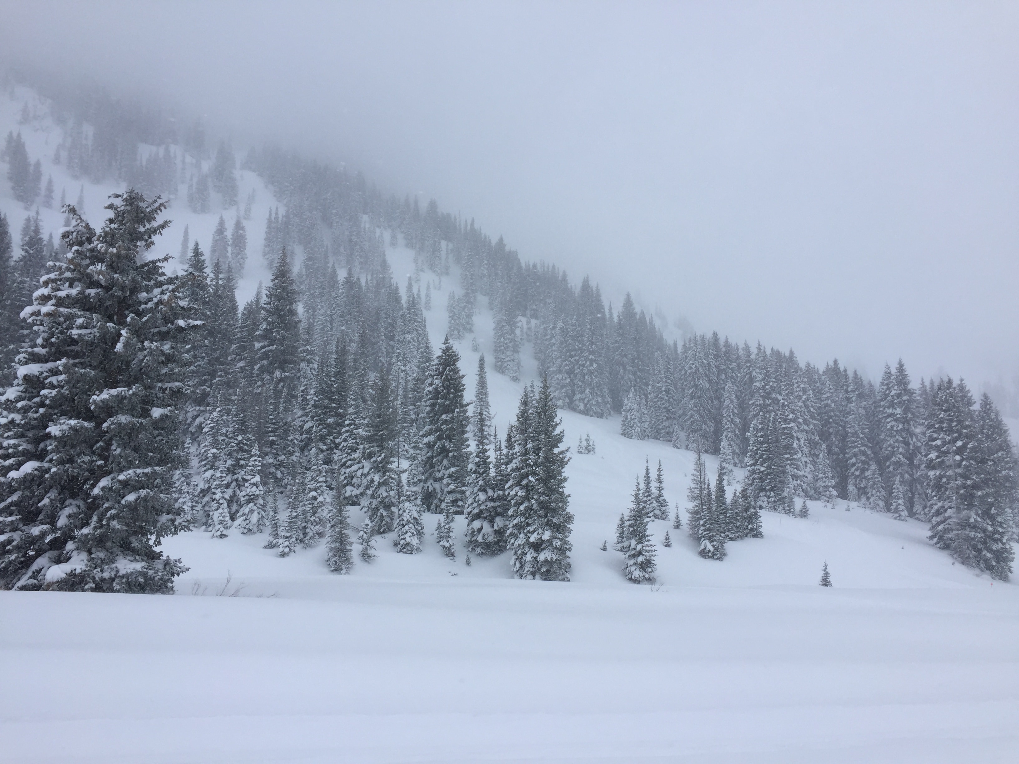 Alta Ski Area January 2017