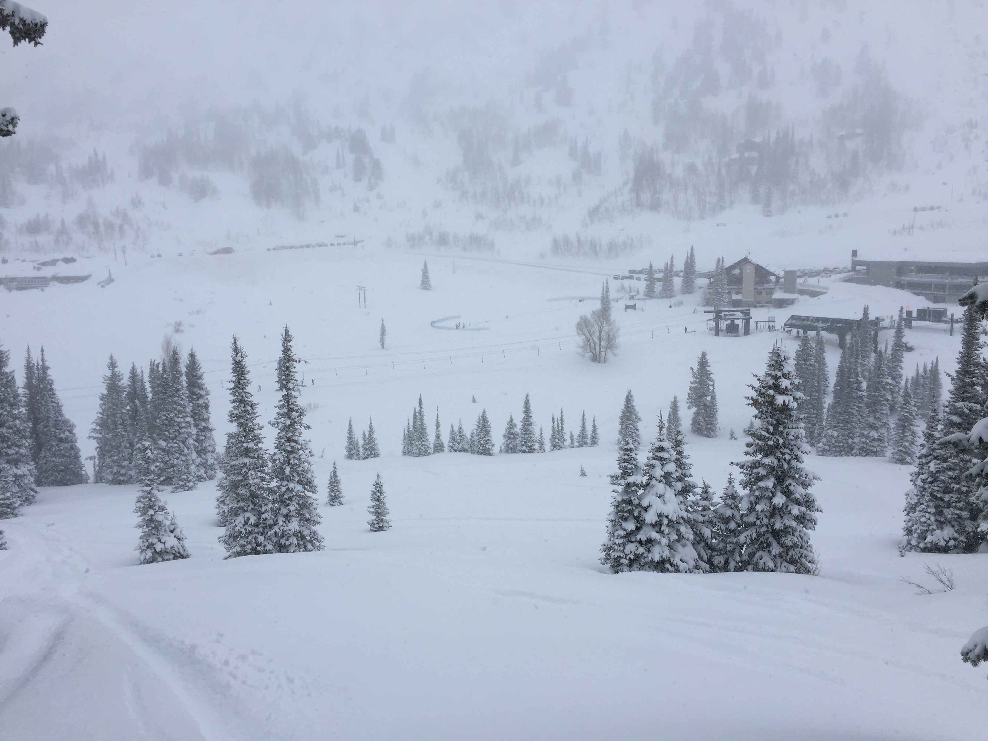 Alta Ski Area January 2017