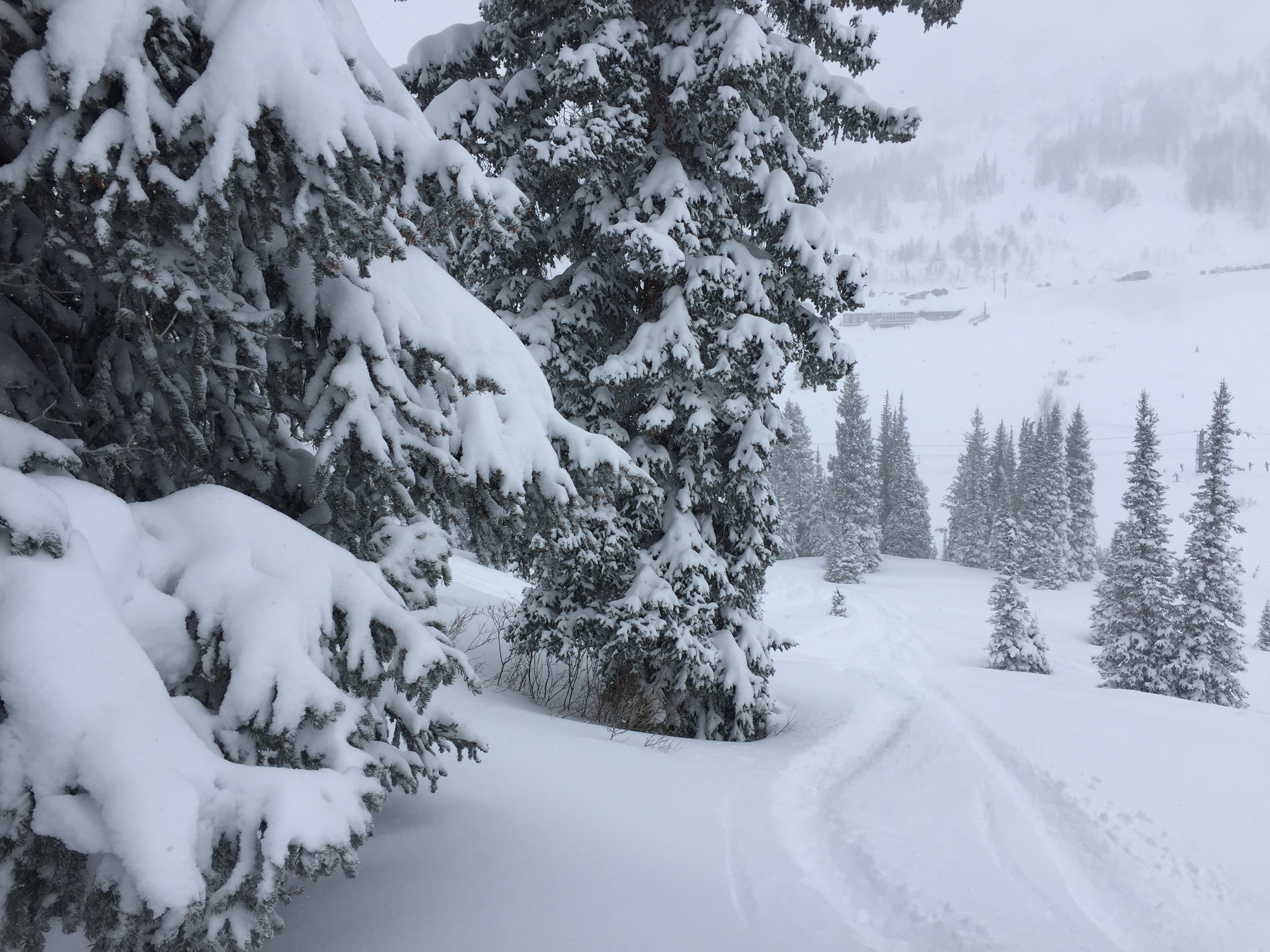 Alta Ski Area January 2017