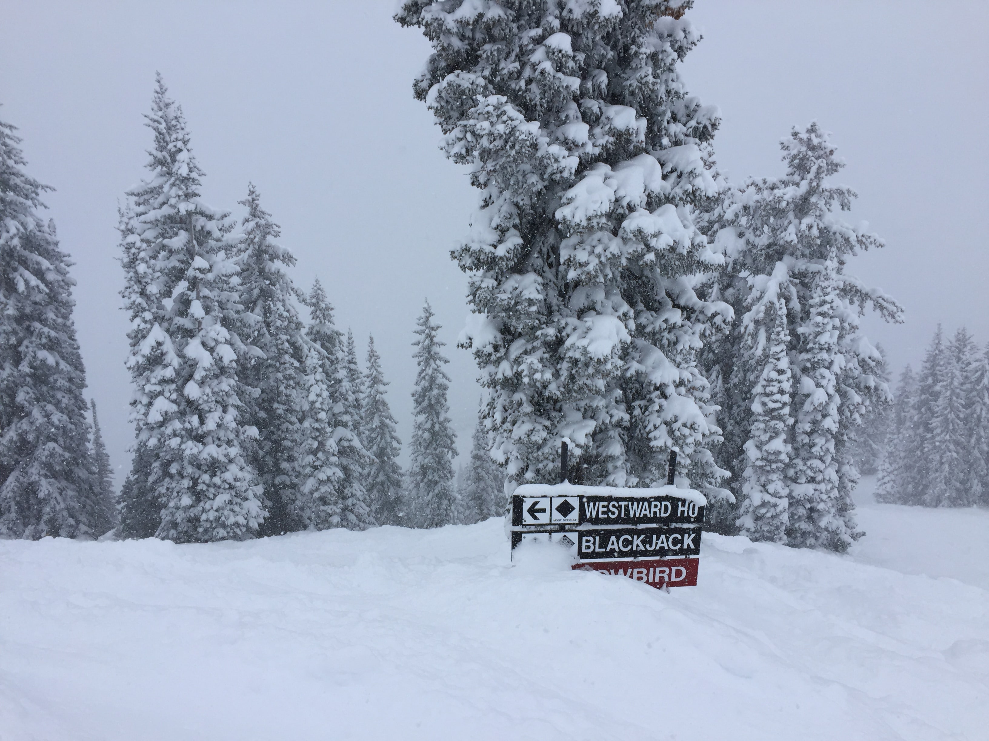 Buried signs below Wildcat Chair. // photo: Matias Ricci