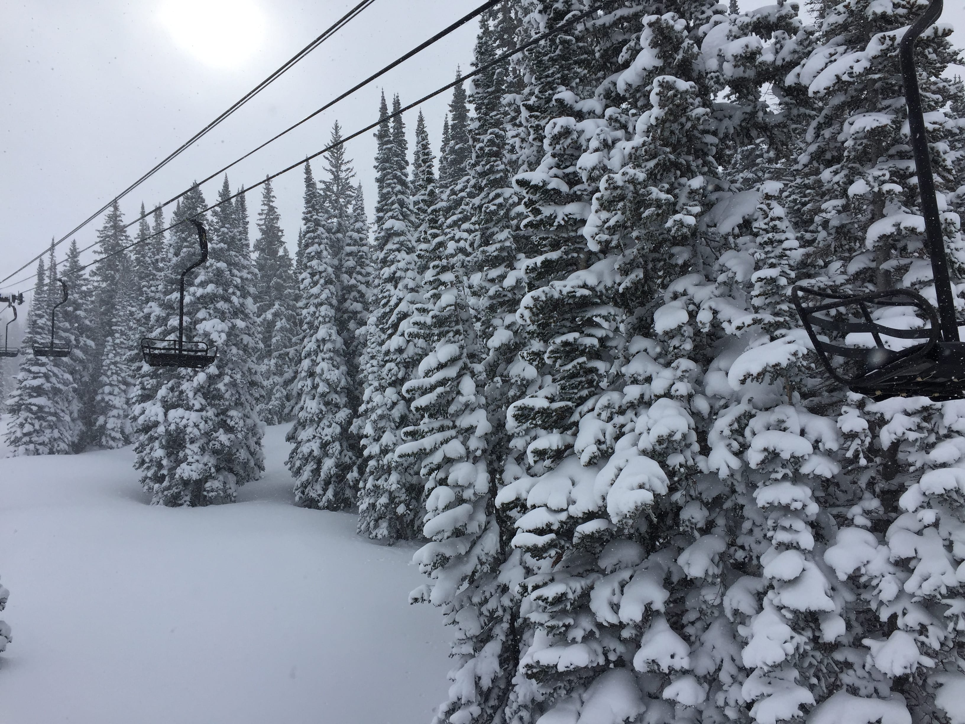 Another storm-skiing day! // photo: Matias Ricci