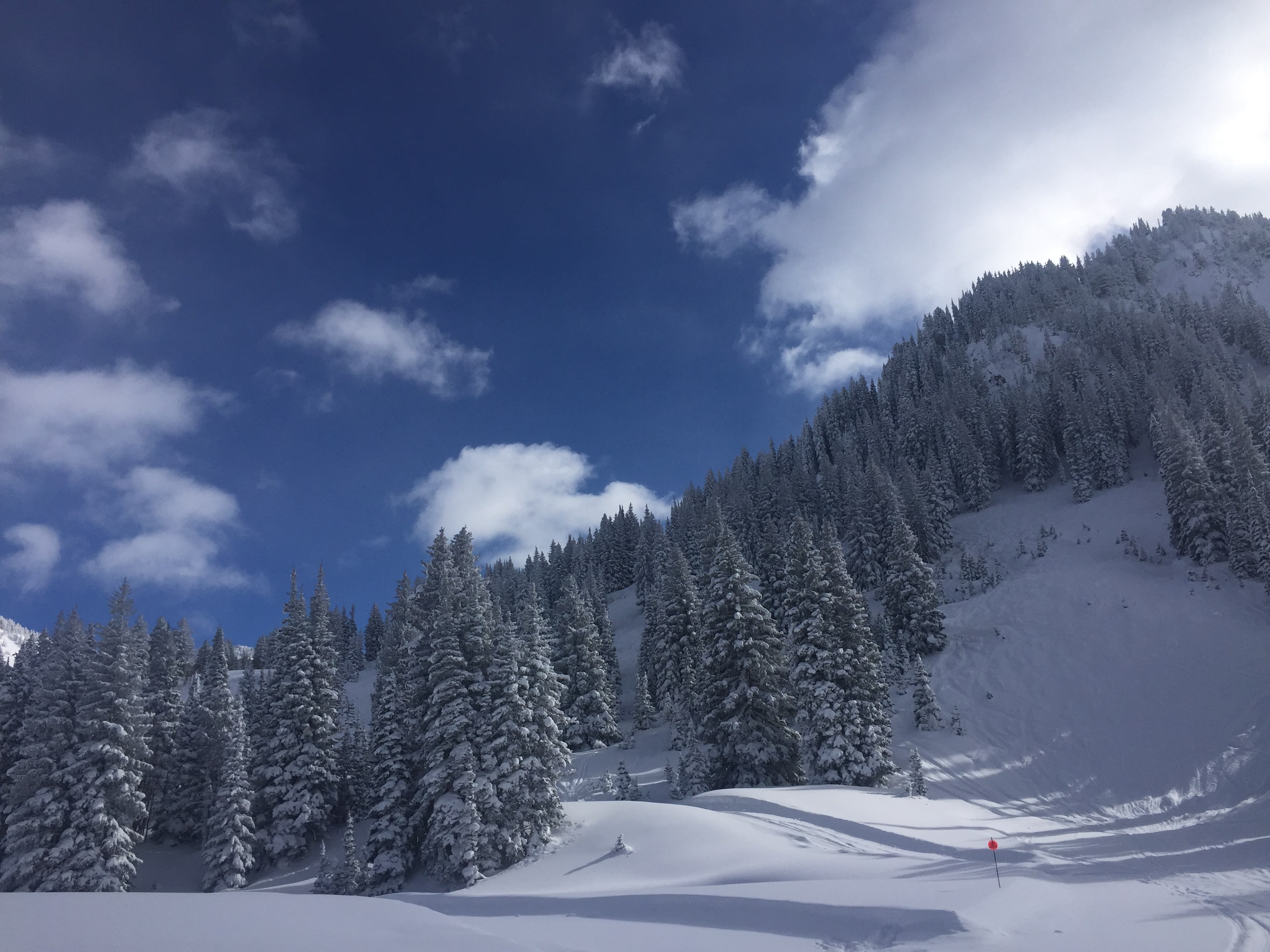 Hopefully, tomorrow will be a bluesky day, and we will have to search for some untouched, magic powder. // photo: Matias Ricci