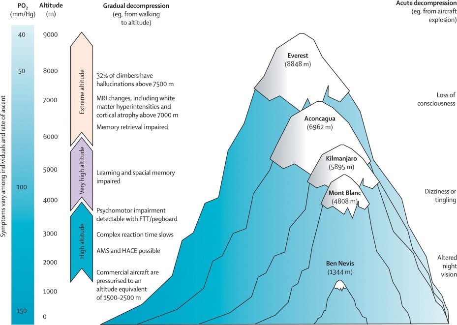 o2_chart-min