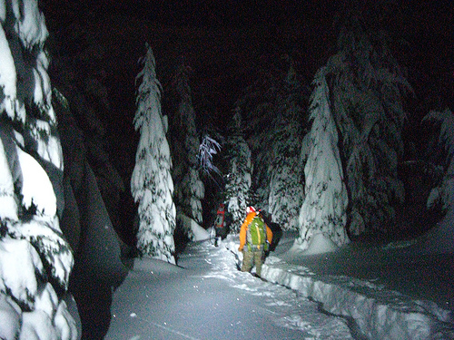 stock photo of night search and rescue mission