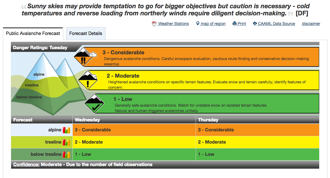 Glacier Park provides a lovely avalanche bulletin every morning. 