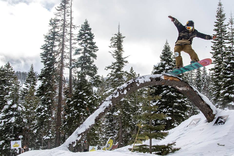 Northstar Stash Park, a naturally inspired tree feature. Source: Northstar Facebook Page