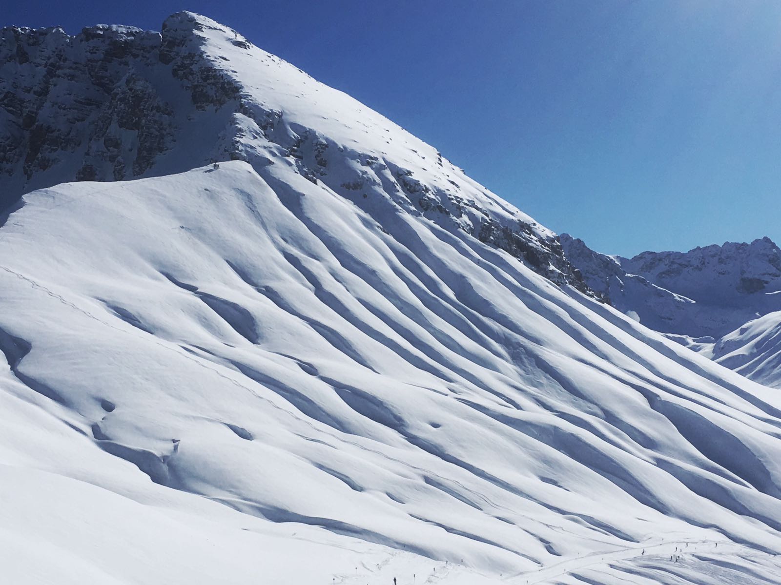 Nice Spines in Lech