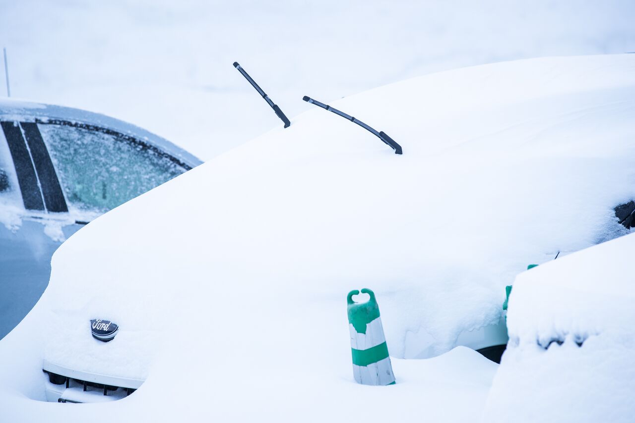 A mammoth pow day