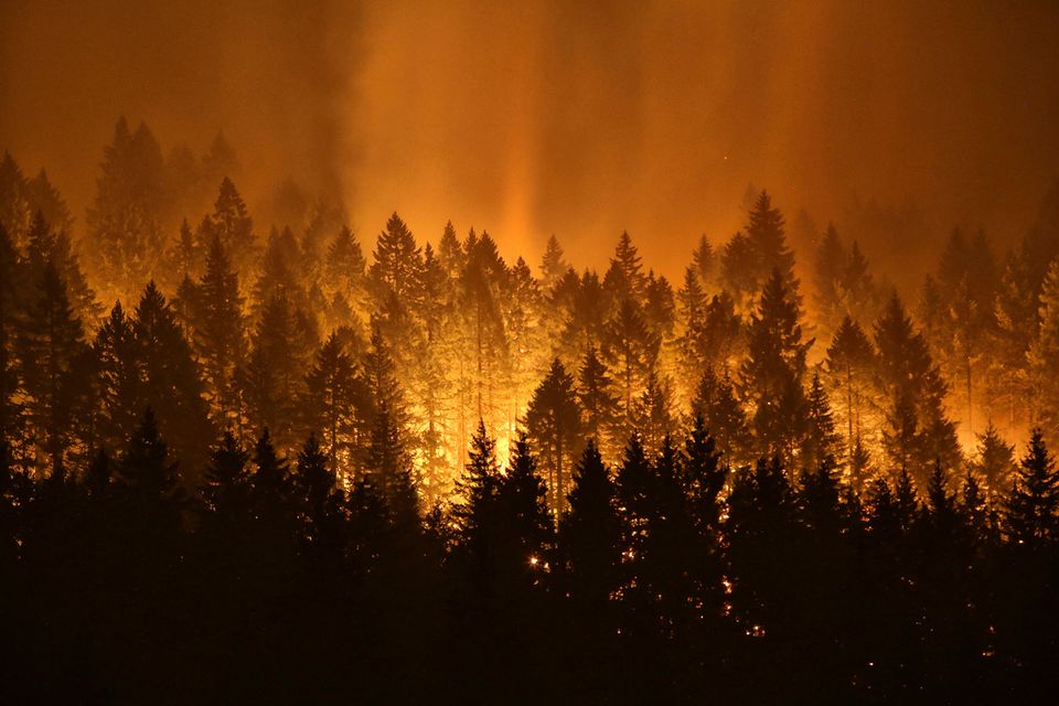 eagle creek, wildfire, Oregon