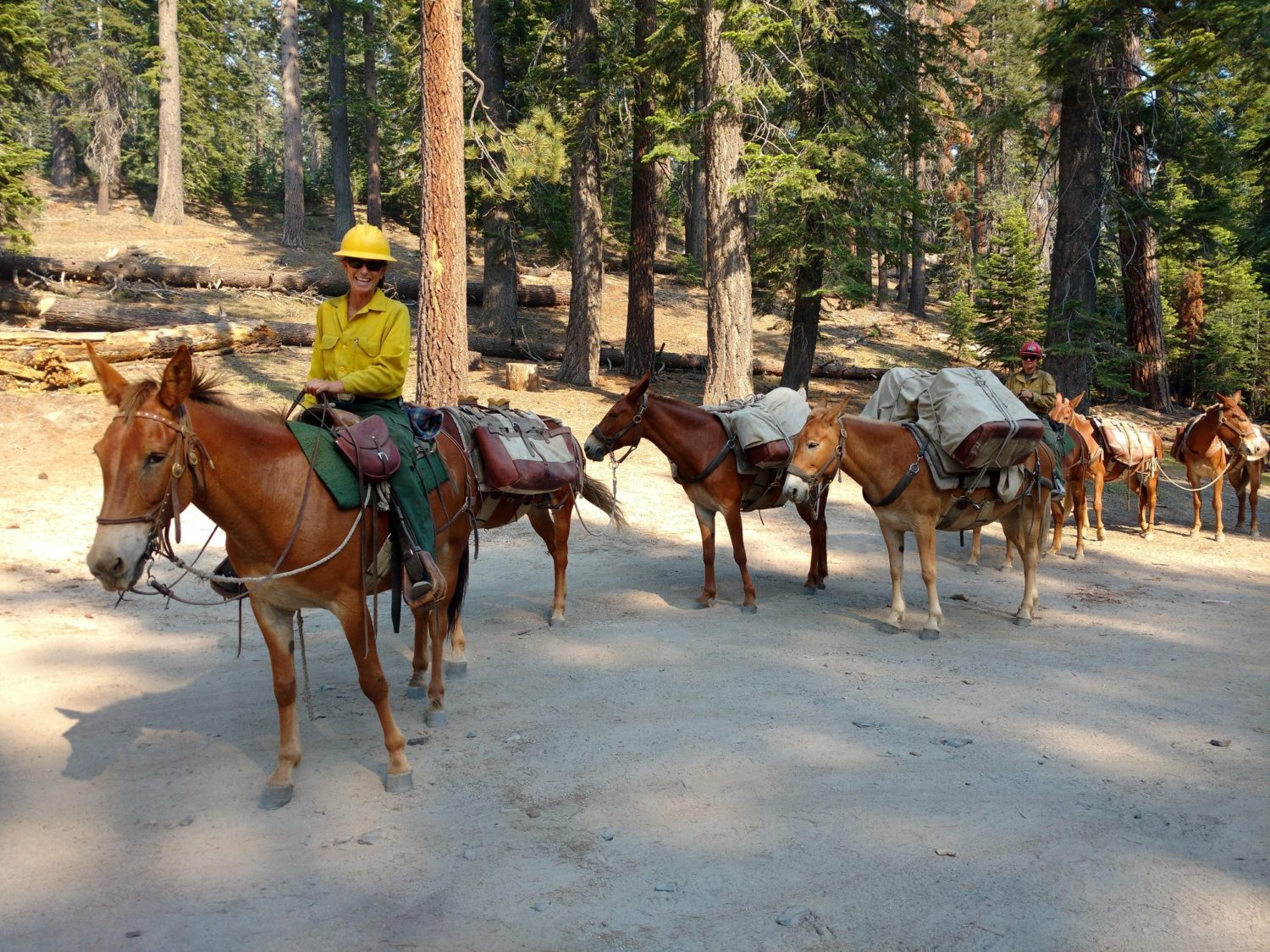 lions fire, california, fire, wildfire