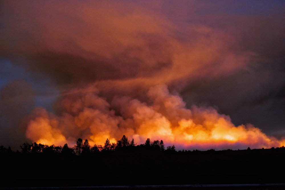 wildfire, california, fire