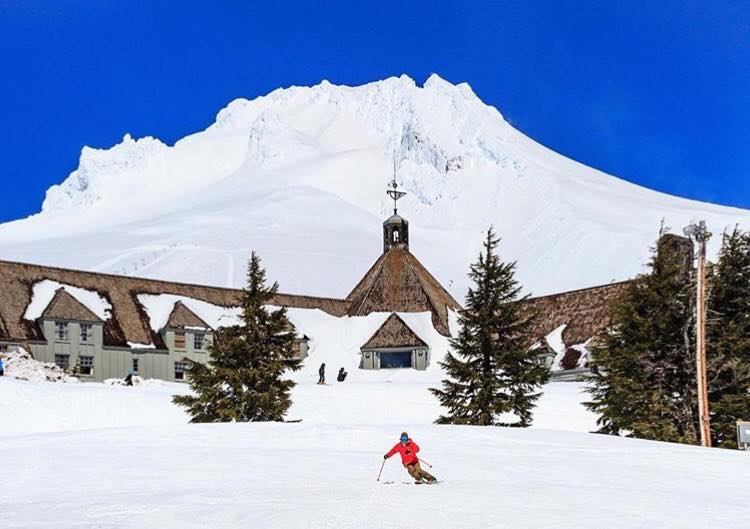 Timberline, Powder Alliance