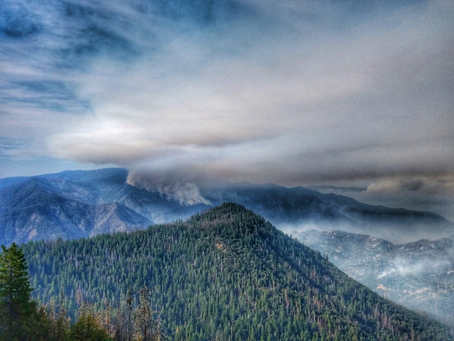 Ferguson fire, yosemite, national park, california, 