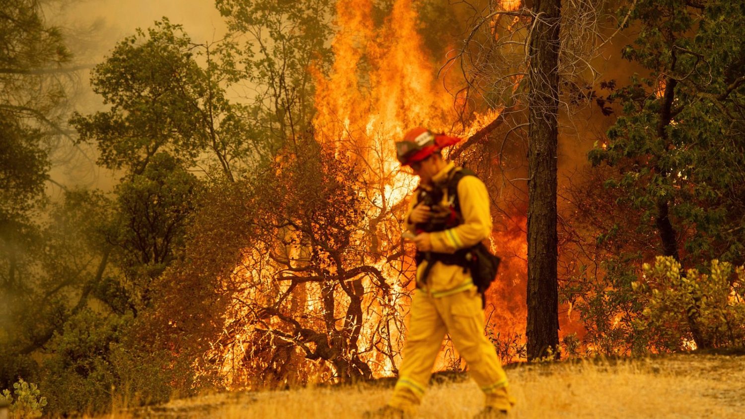 california, Carr fire, wildfire, wildfires, 