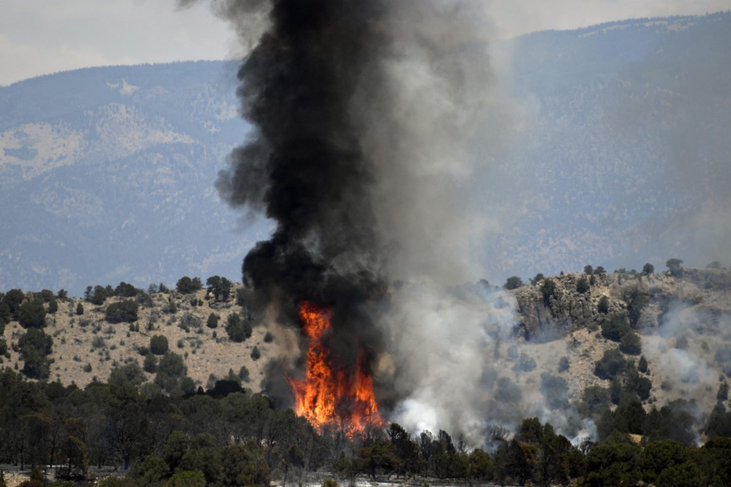 nasa, wildfire, smoke from space, nevada, wildfire, fire