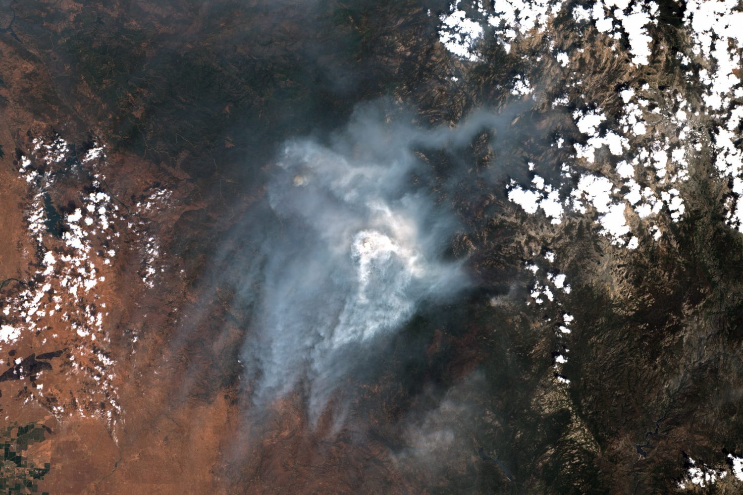 wildfire, fire, forest fire, Oregon, california, colorado