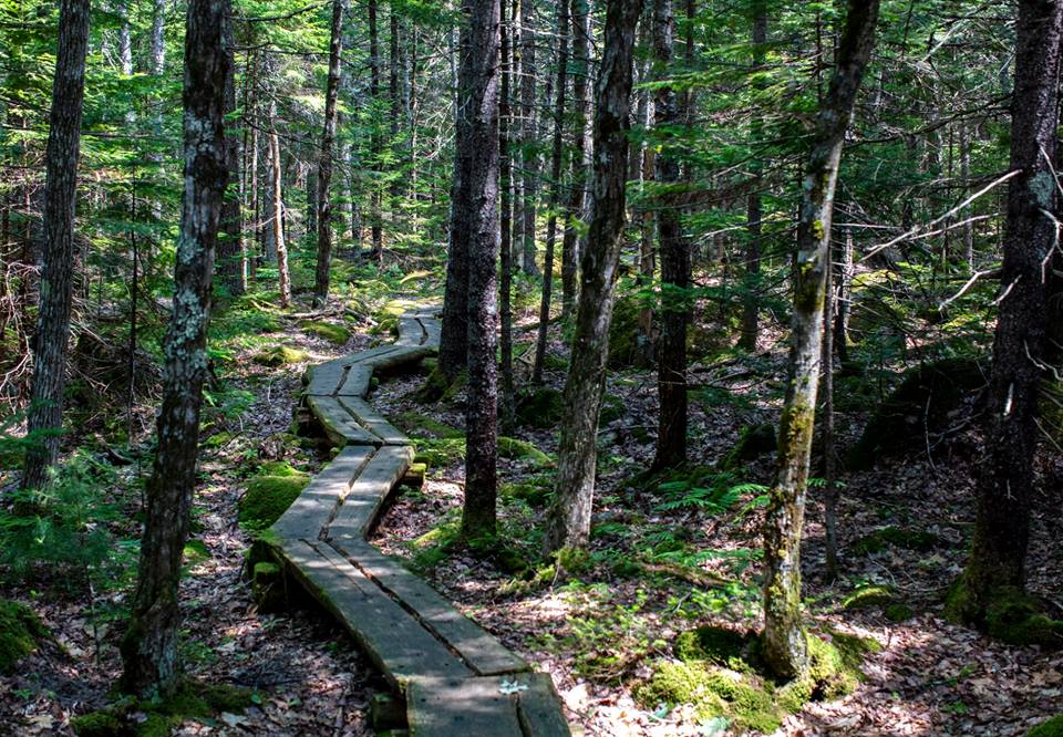 Acadia National Park