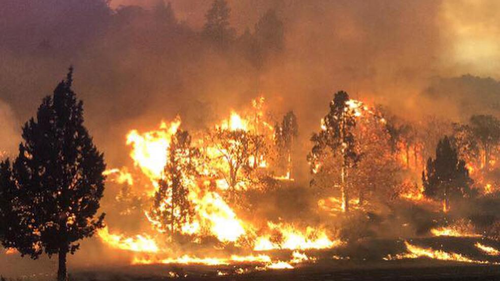 nasa, wildfire, smoke from space, nevada, wildfire, fire