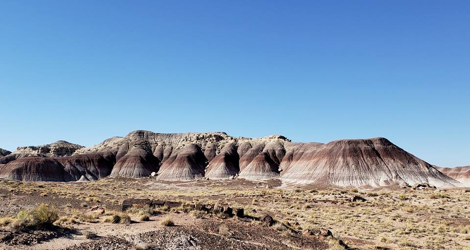 Petrified National Park