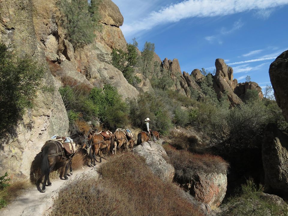 Pinnacles national park