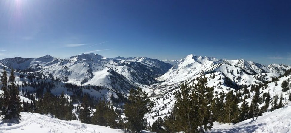 Wasatch