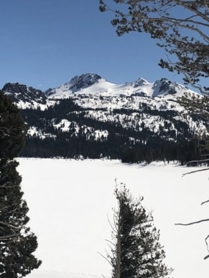 mt Shasta, Shasta, california, casaval ridge