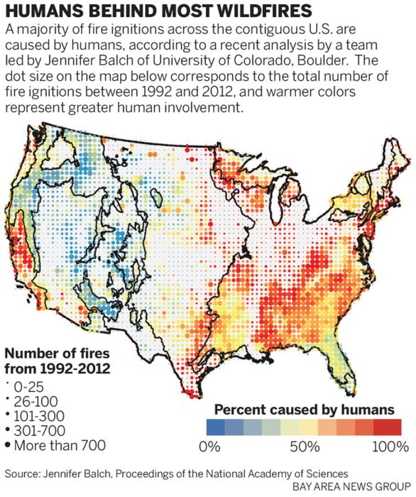 forest fire