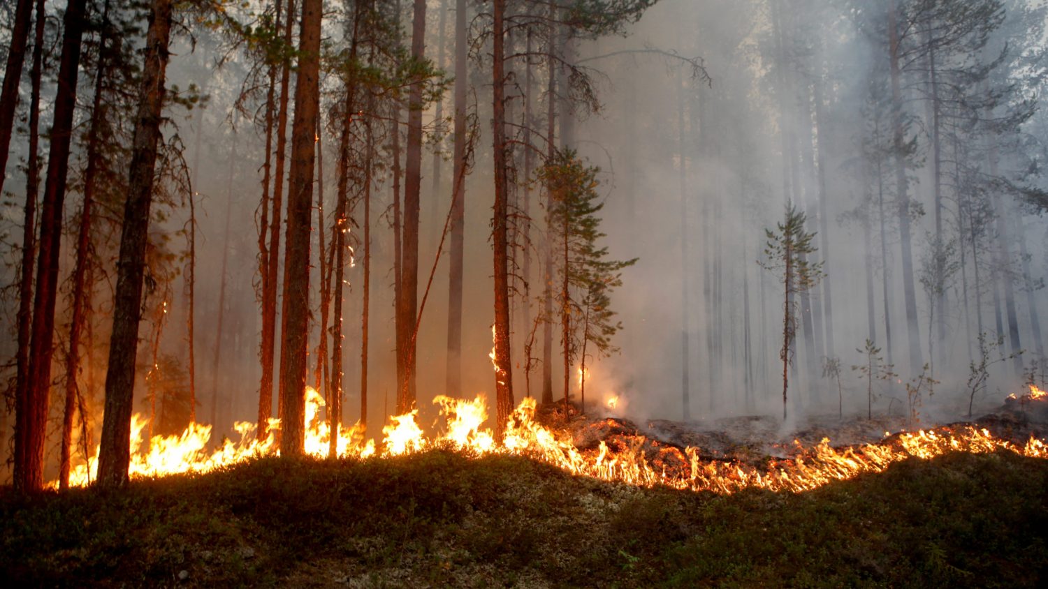 Fire sizes increasing glacier melting